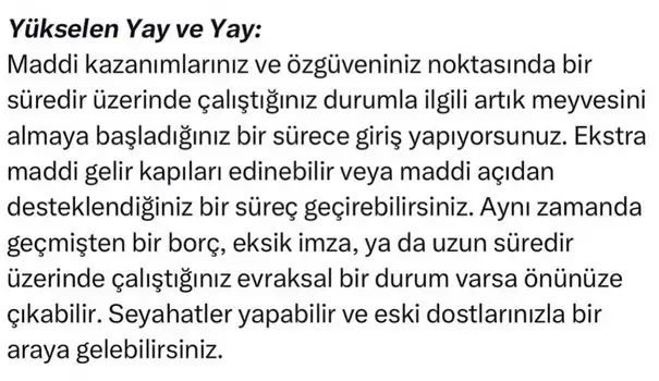 ay1 (9).webp