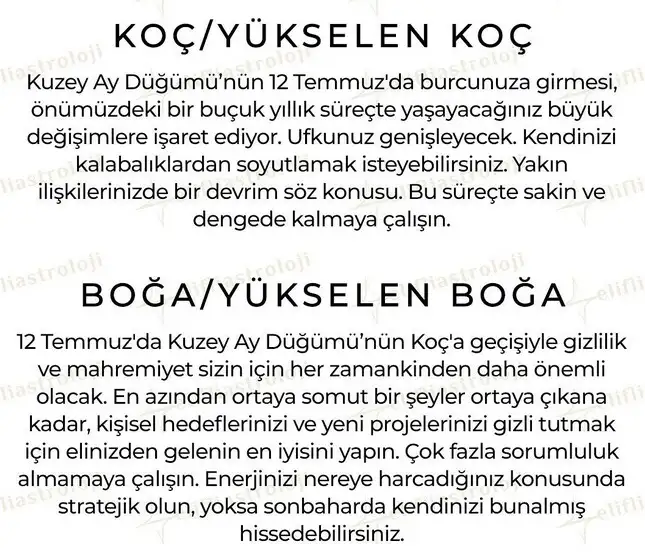 ay10 (2).webp