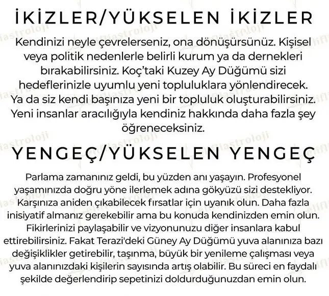 ay10 (3).webp