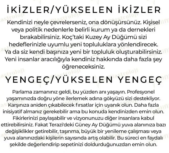 ay10 (4).webp