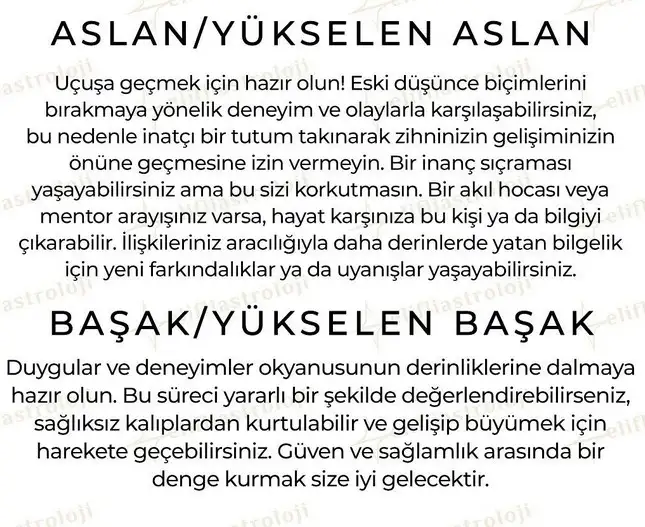 ay10 (5).webp