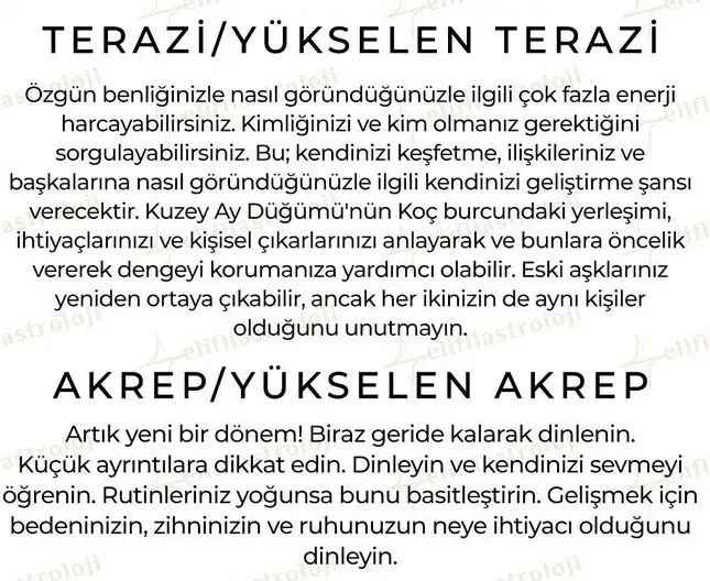 ay10 (6).webp