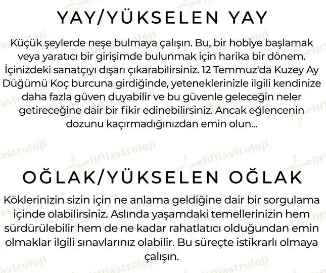 ay10 (7).webp