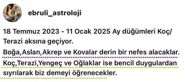ay11.webp