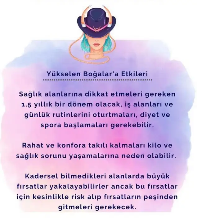 ay12 (2).webp