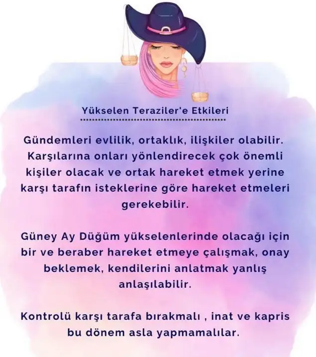ay12 (7).webp