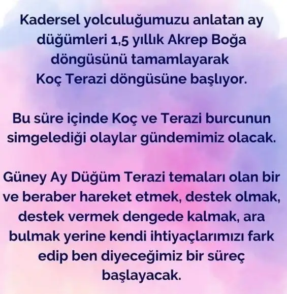 ay13 (2).webp