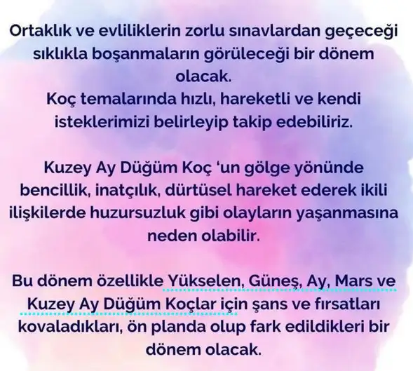 ay13 (3).webp