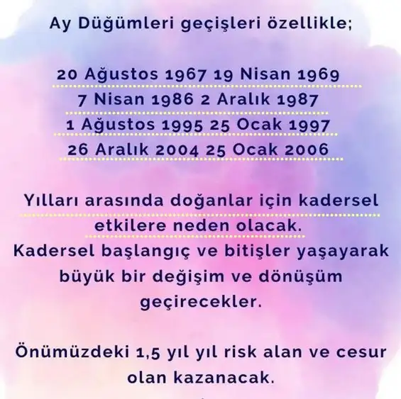 ay13 (5).webp