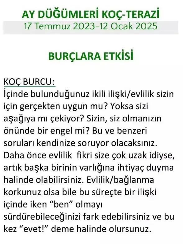 ay18 (3).webp