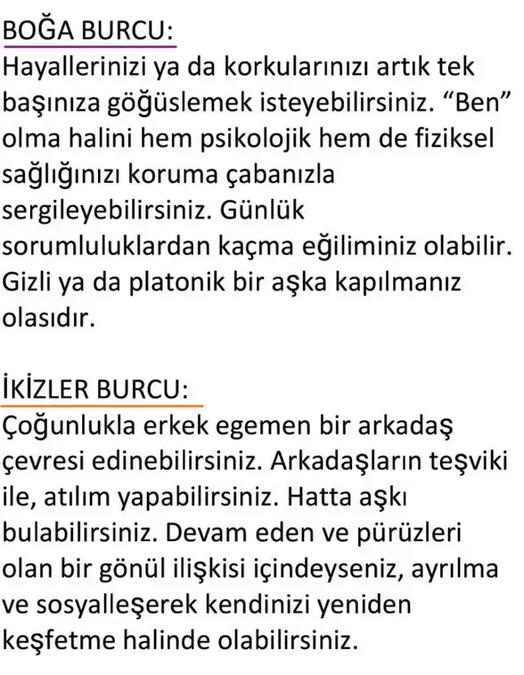 ay18 (4).webp
