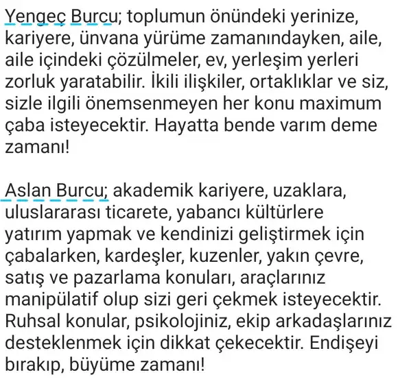 ay18 (5).webp