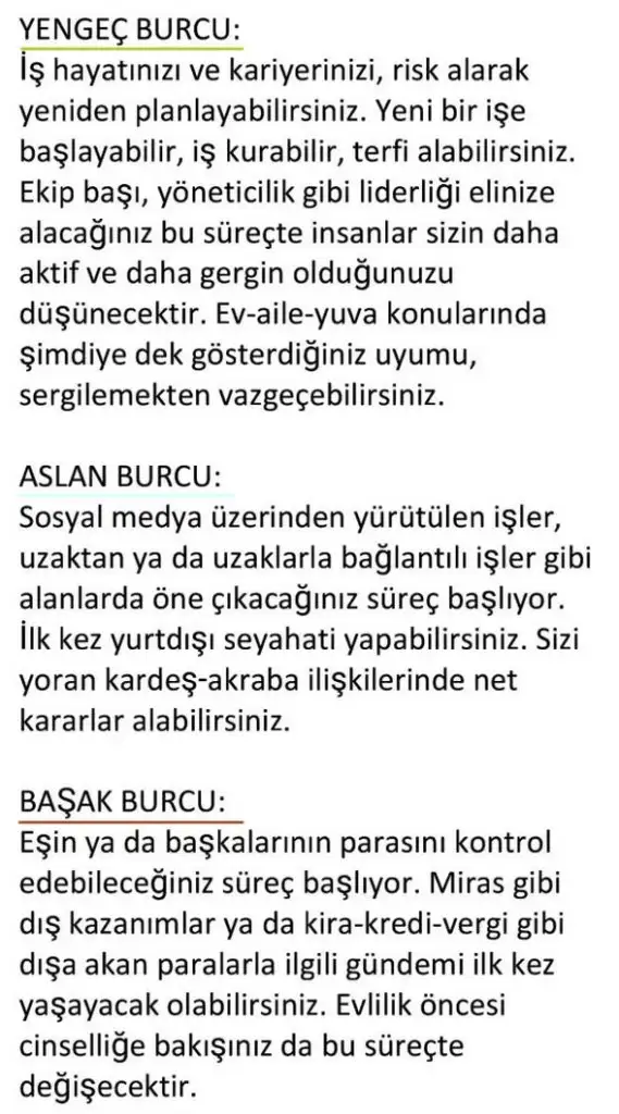 ay18 (5).webp