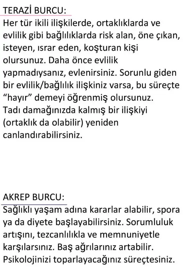 ay18 (6).webp