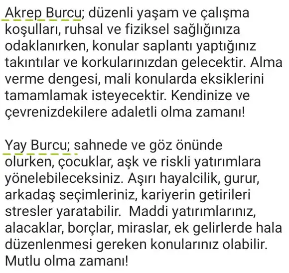 ay18 (7).webp