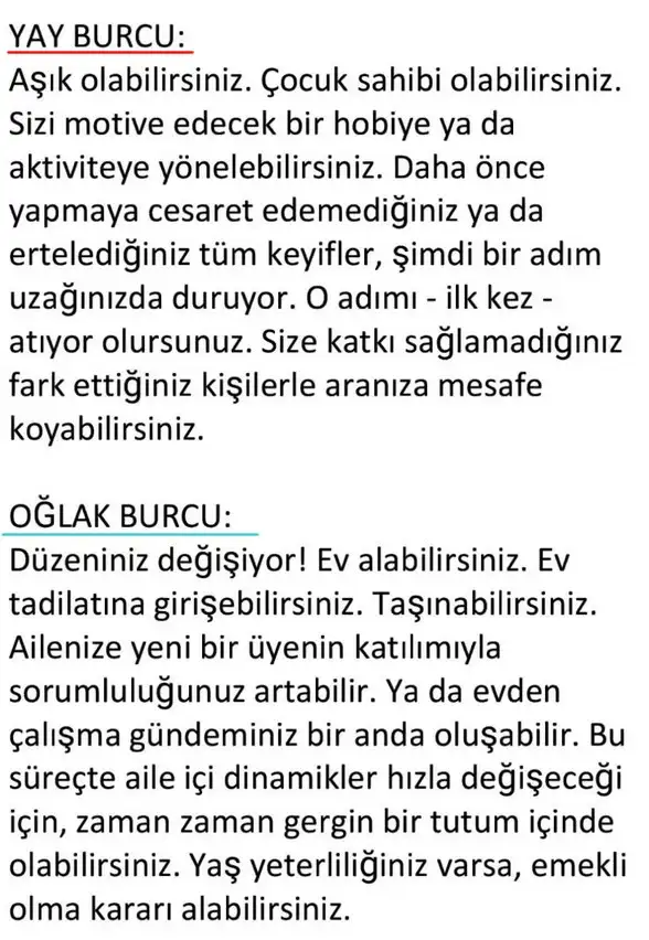 ay18 (7).webp