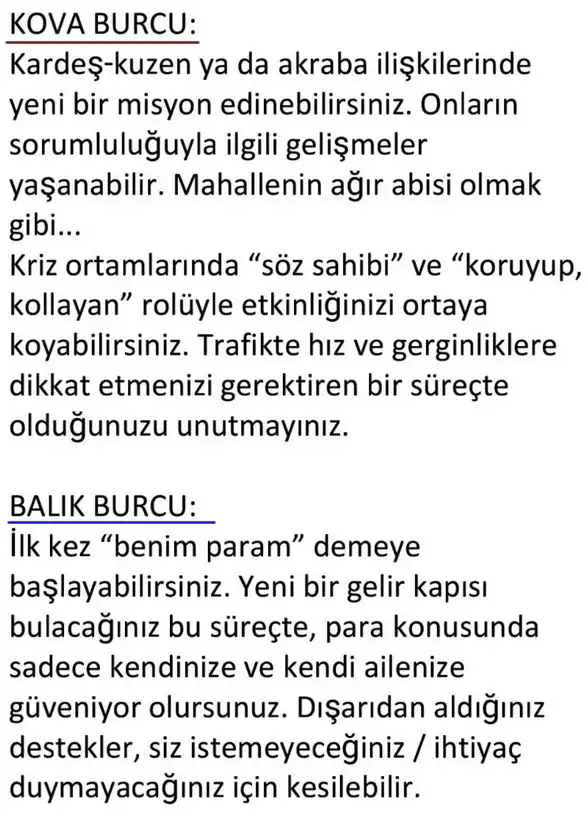 ay18 (8).webp