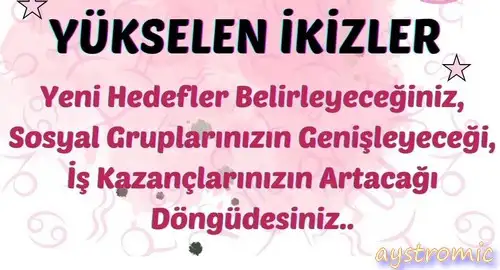 ay2 (10)a.webp