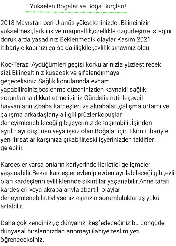 ay2 (10).webp