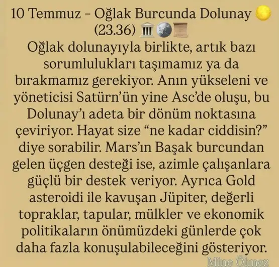 ay2 (10).webp