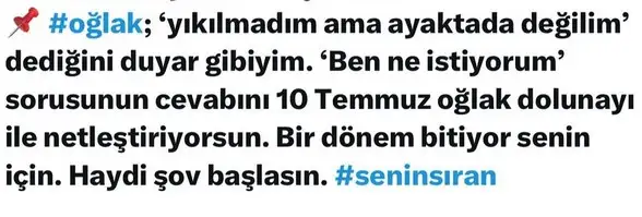 ay2 (10).webp