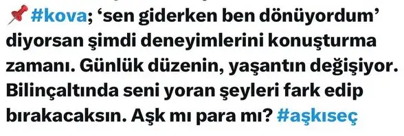 ay2 (11).webp