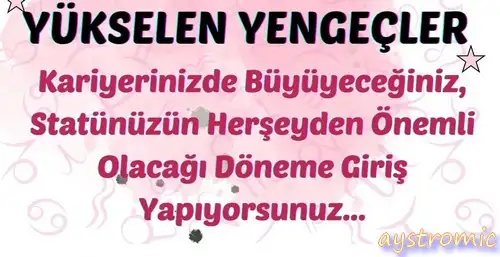ay2 (12).webp