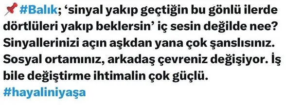 ay2 (12).webp