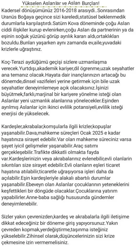 ay2 (15).webp