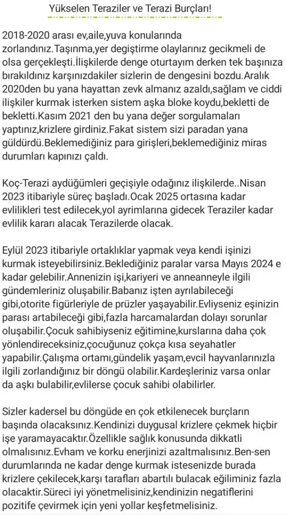 ay2 (19).webp