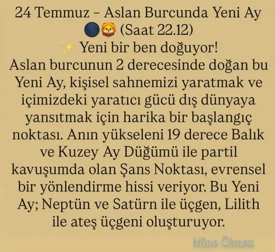 ay2 (19).webp