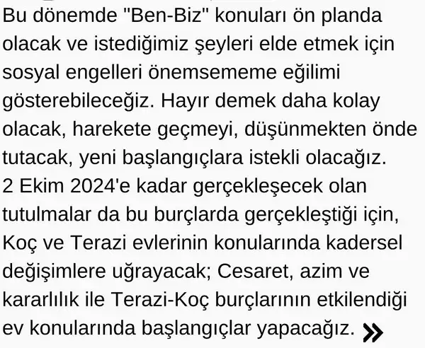 ay2 (2).webp