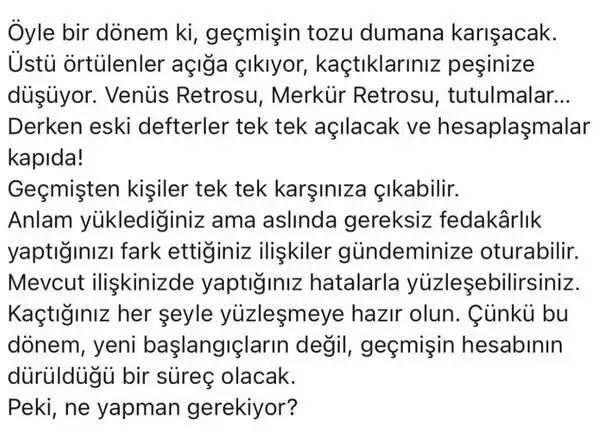 ay2 (2).webp