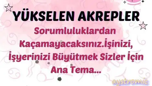 ay2 (20).webp