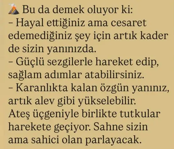 ay2 (20).webp