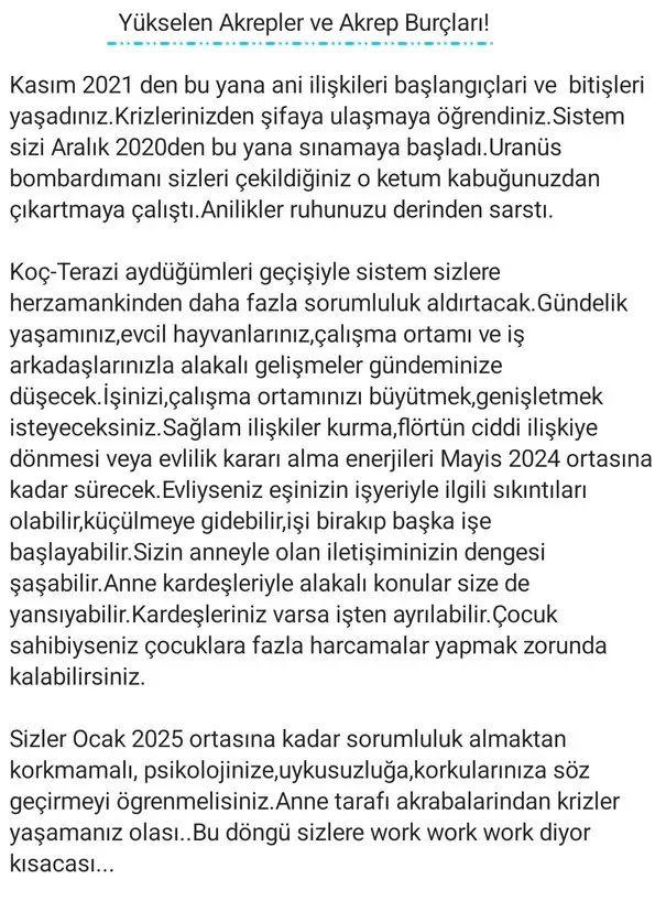 ay2 (21).webp