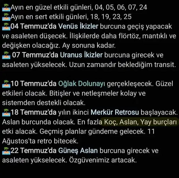 ay2 (21).webp