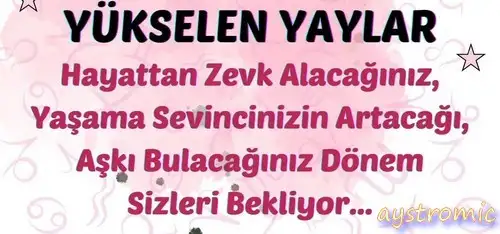 ay2 (22).webp