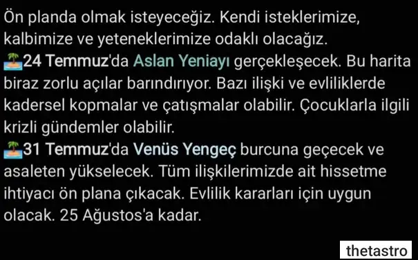 ay2 (22).webp