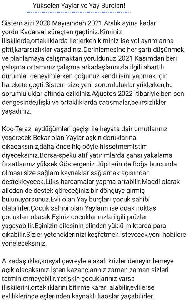ay2 (23).webp