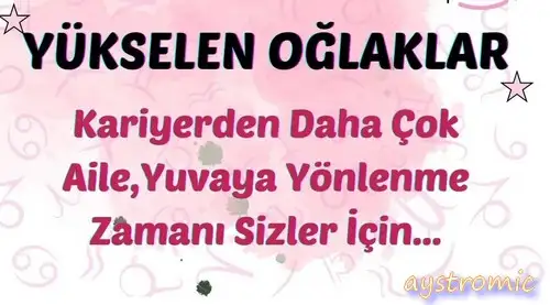 ay2 (24).webp
