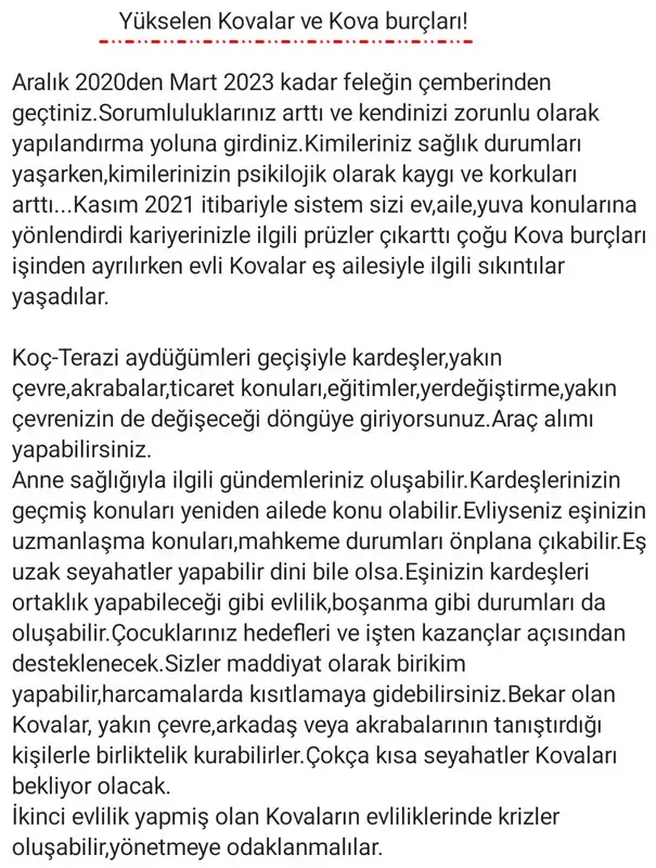 ay2 (27).webp