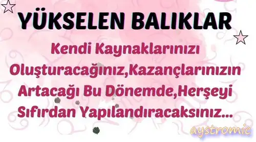 ay2 (28).webp
