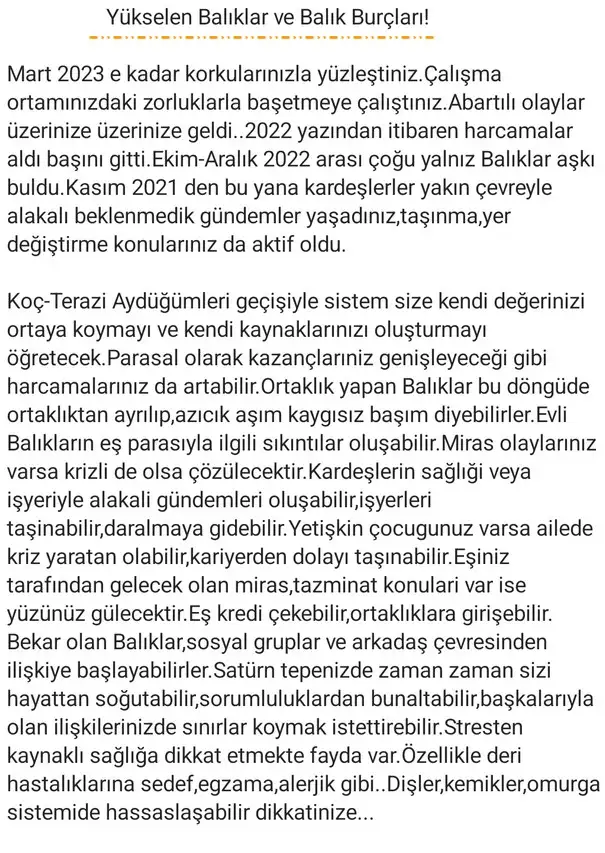 ay2 (29).webp