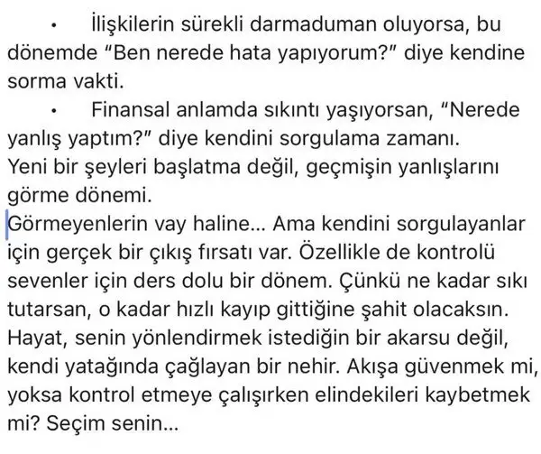 ay2 (3).webp