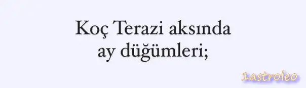 ay20 (1).webp