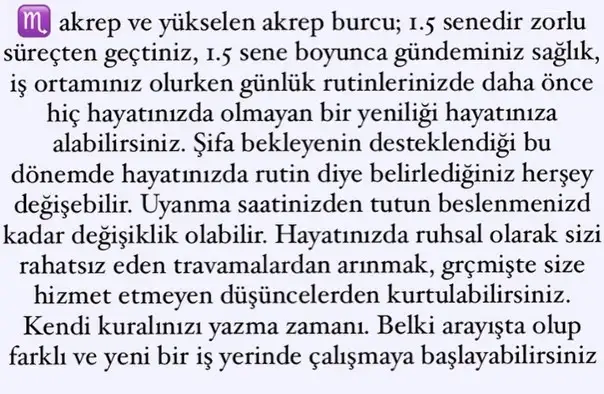 ay20 (10).webp