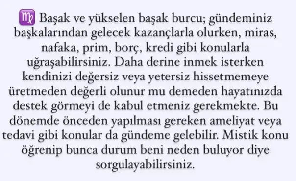 ay20 (7).webp