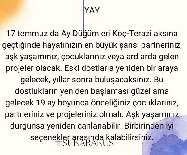 ay24 (10).webp