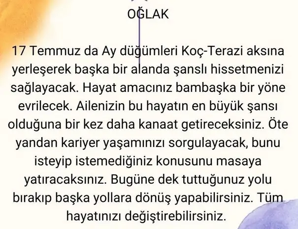 ay24 (11).webp